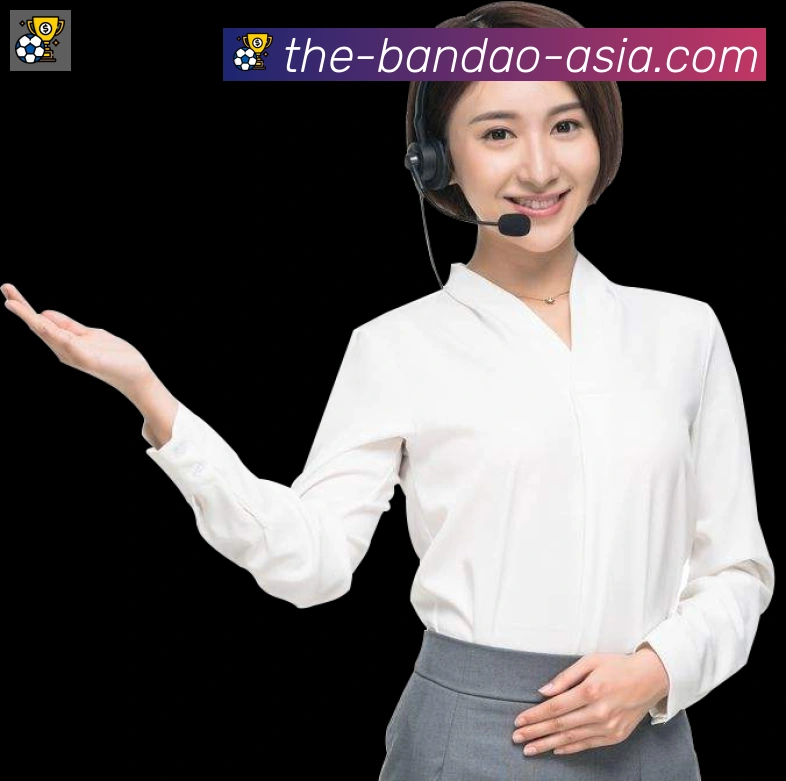 未来规划